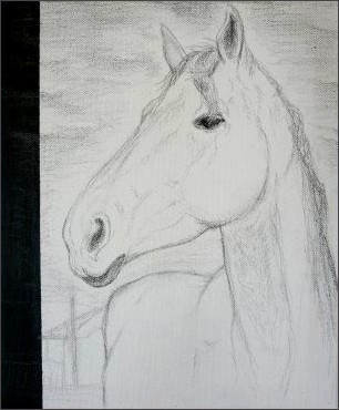 Portrait of a Horse, 2011