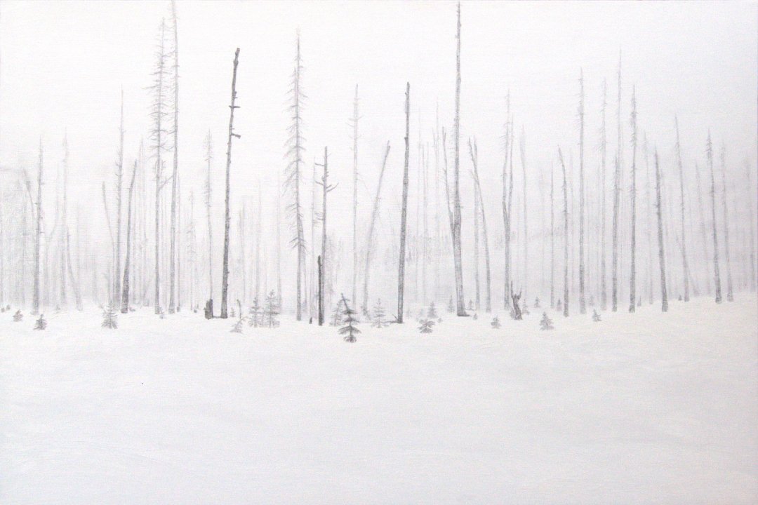 Yellowstone - Curated Wild #1, 2012