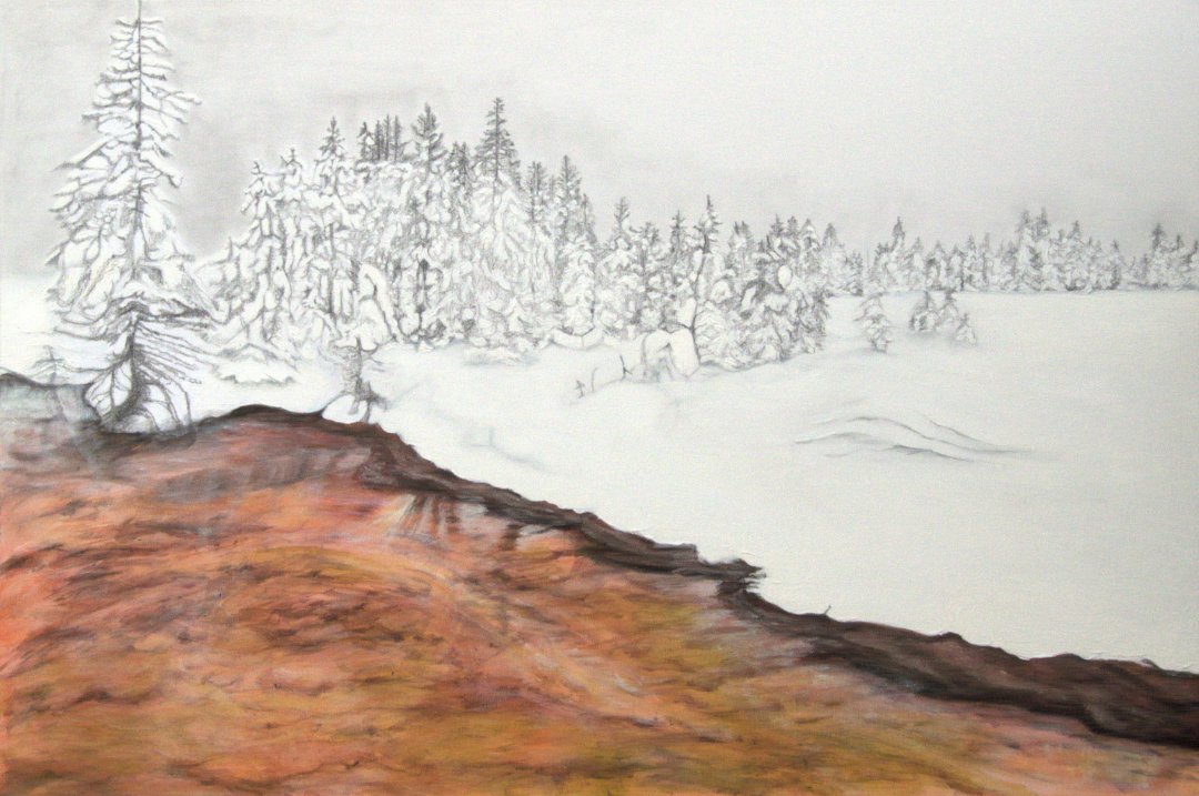 Yellowstone - Curated Wild #8, 2012